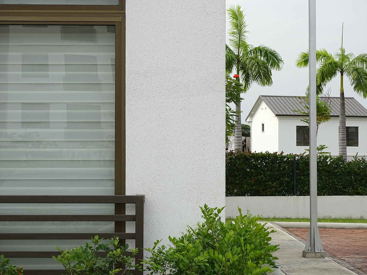 Taddeo Logistics provides trusted transferation solutions