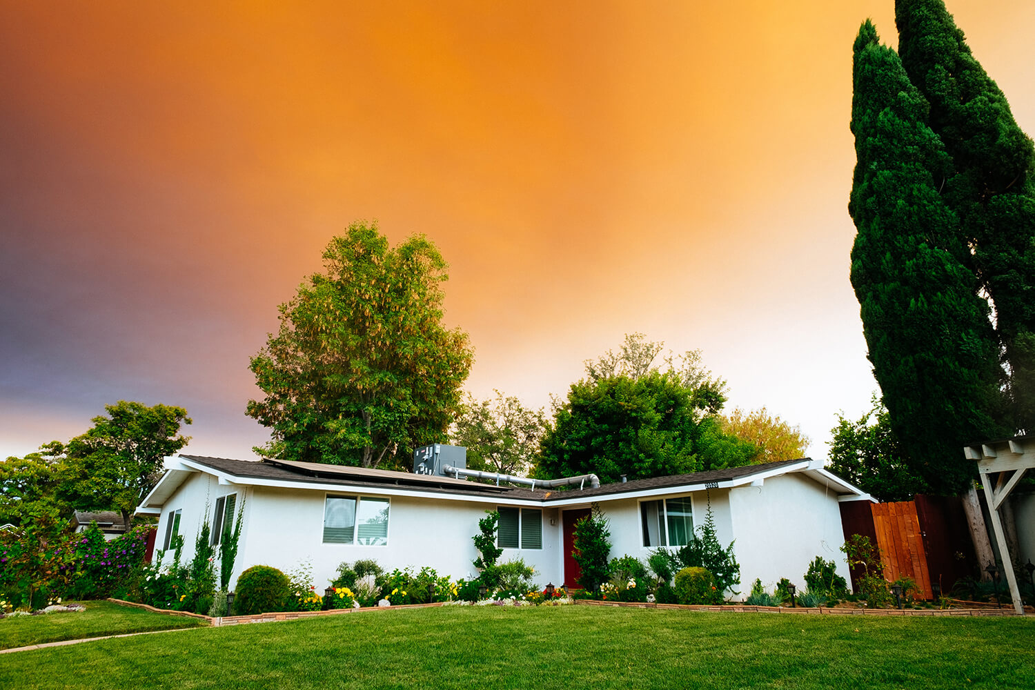 Selling my house with an overrun backyard